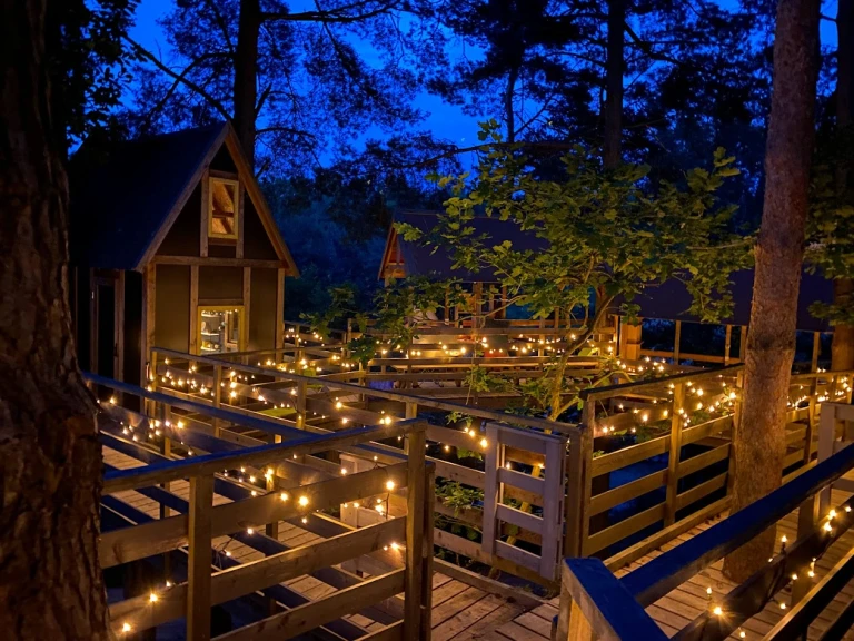 Tree house at night